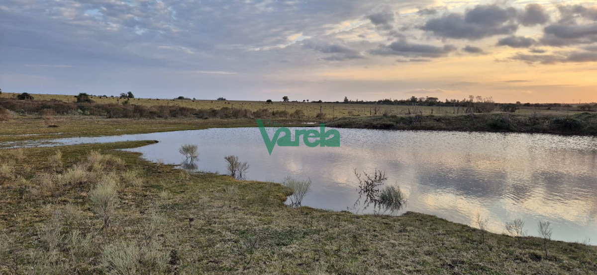 Campo Ref.22747 - Campo en venta , 36 has.a 7 km.de Solís de Mataojo 