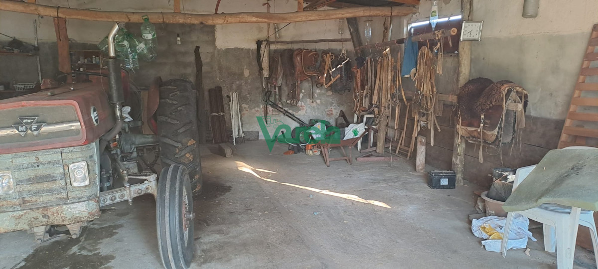 Campo Ref.21665 - Venta de Campo, Paso del Sordo, Florida, excelente campo de 37.5 has 