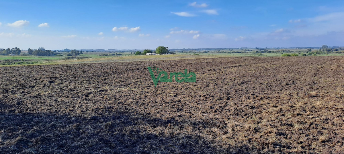 Campo Ref.21786 - Campo 108 has. próximo a San Jacinto