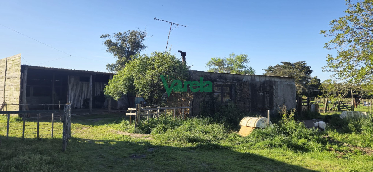 Campo Ref.22419 - Campo de 27 has.en zona Piedras de Afilar