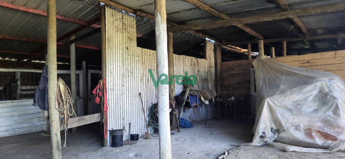 Campo Ref.22419 - Campo de 27 has.en zona Piedras de Afilar