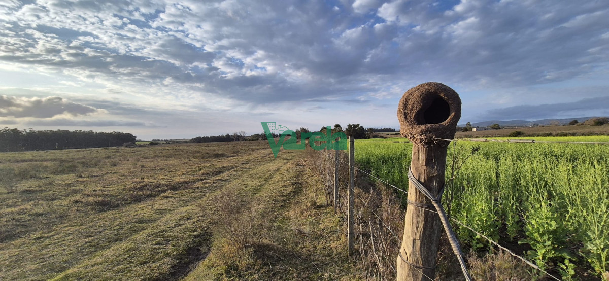 Campo Ref.22747 - Campo en venta , 36 has.a 7 km.de Solís de Mataojo 