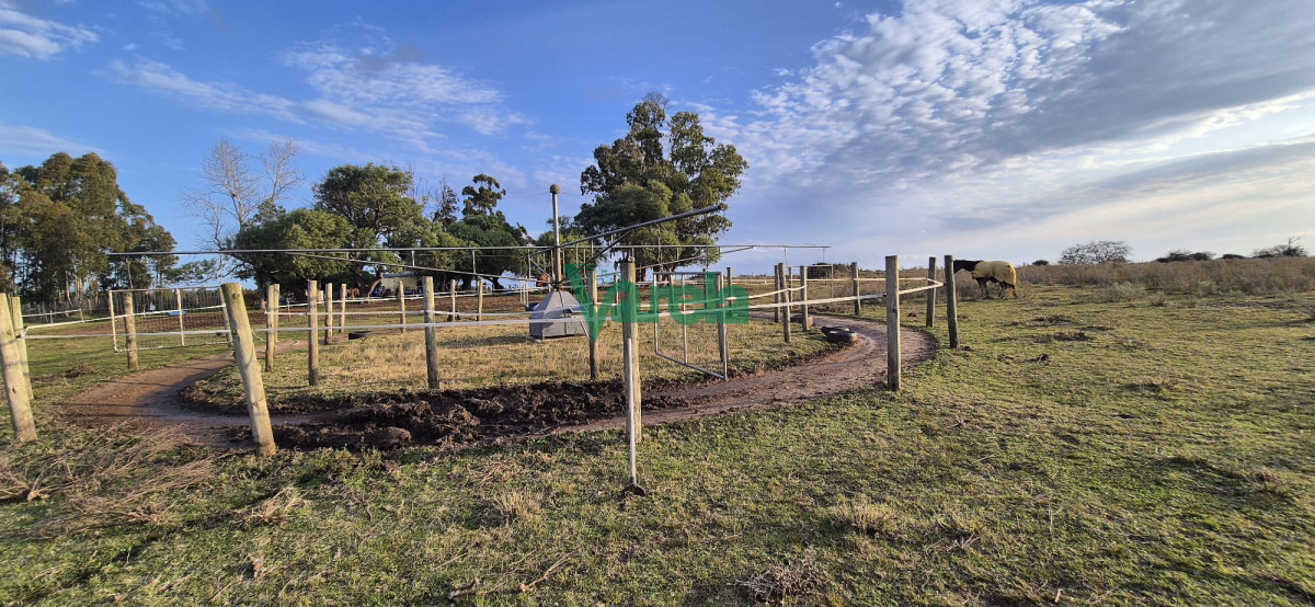 Campo Ref.22747 - Campo en venta , 36 has.a 7 km.de Solís de Mataojo 