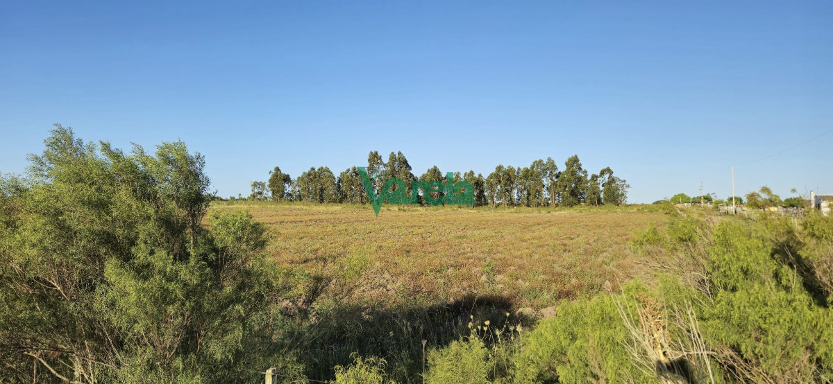 Campo Ref.22558 - Campo 31 has. Cañada Grande, próximo a Empalme Olmos y Ruta 8