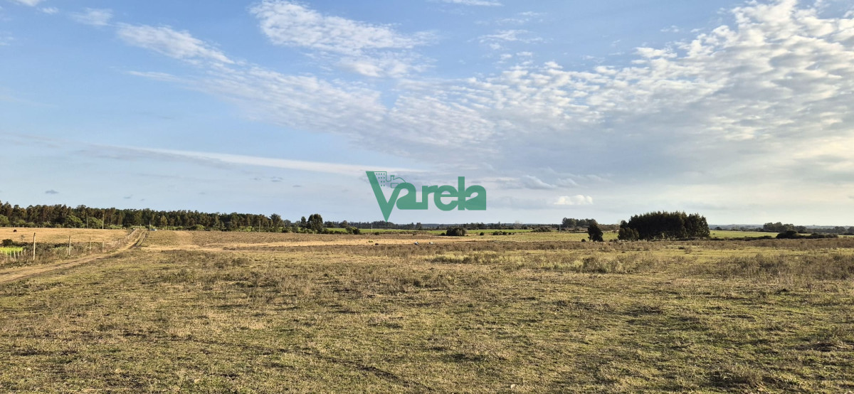 Campo Ref.22747 - Campo en venta , 36 has.a 7 km.de Solís de Mataojo 