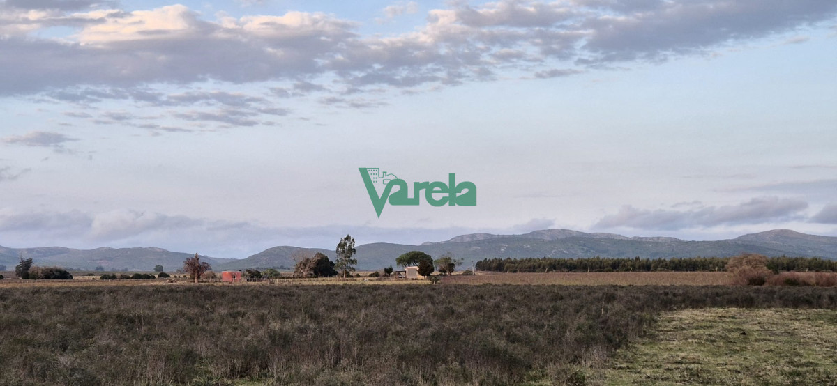 Campo Ref.22747 - Campo en venta , 36 has.a 7 km.de Solís de Mataojo 