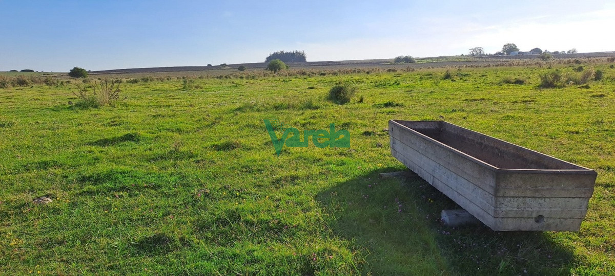 Campo Ref.21786 - Campo 108 has. próximo a San Jacinto