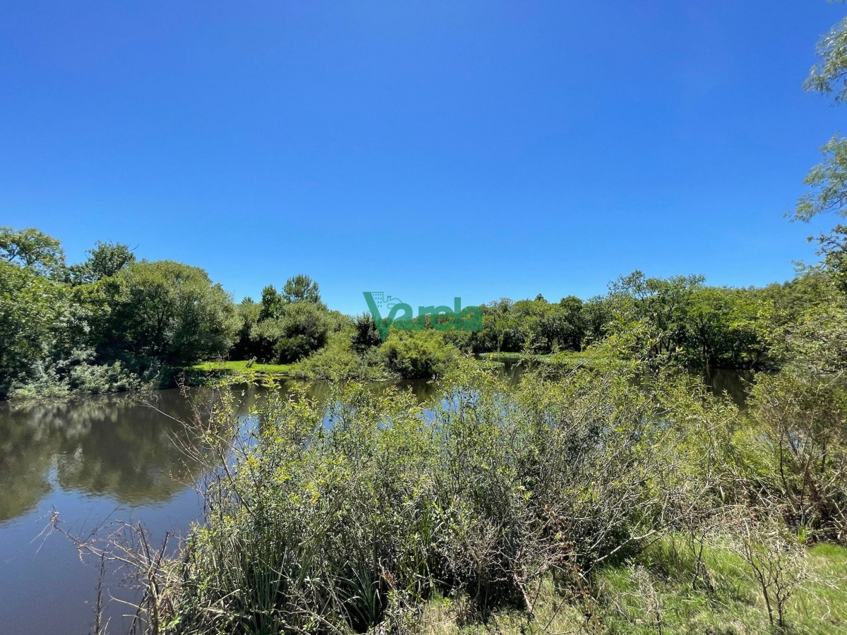 Campo Ref.21437 - Campo de 91 has. en Pando, con costa sobre el arroyo Pando