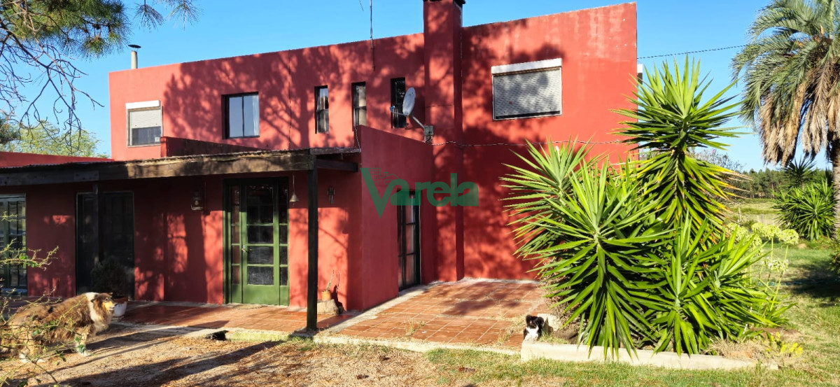 Campo Ref.22558 - Campo 31 has. Cañada Grande, próximo a Empalme Olmos y Ruta 8