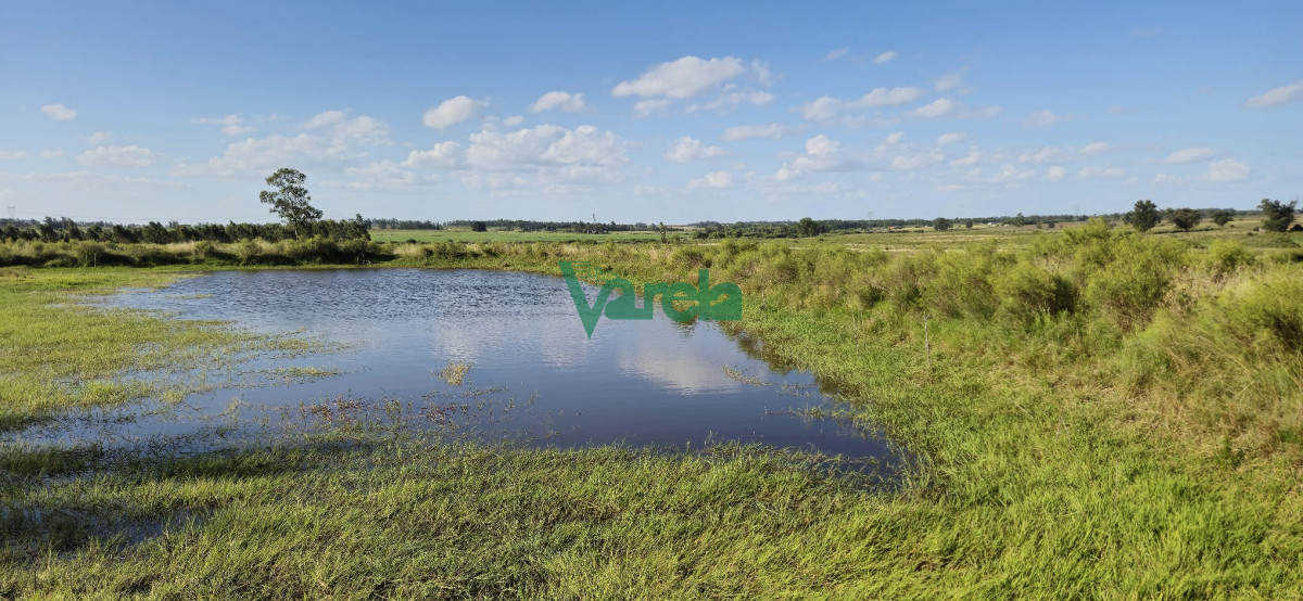Campo Ref.22558 - Campo 31 has. Cañada Grande, próximo a Empalme Olmos y Ruta 8
