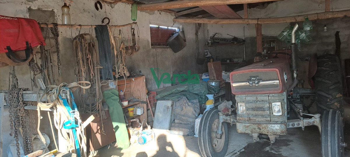 Campo Ref.21665 - Venta de Campo, Paso del Sordo, Florida, excelente campo de 37.5 has 