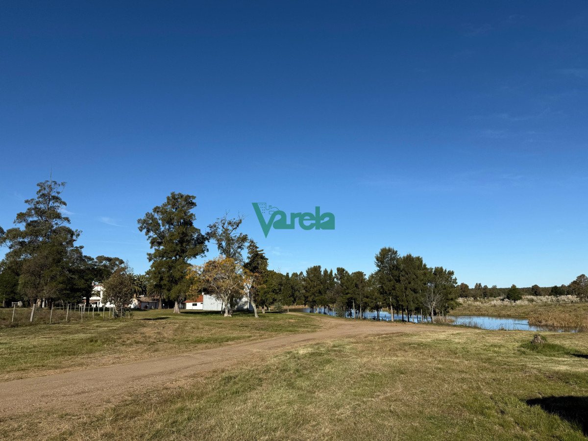 Campo Ref.22676 - Campo de 245 has.sobre Ruta 9, Zona Capilla Cella