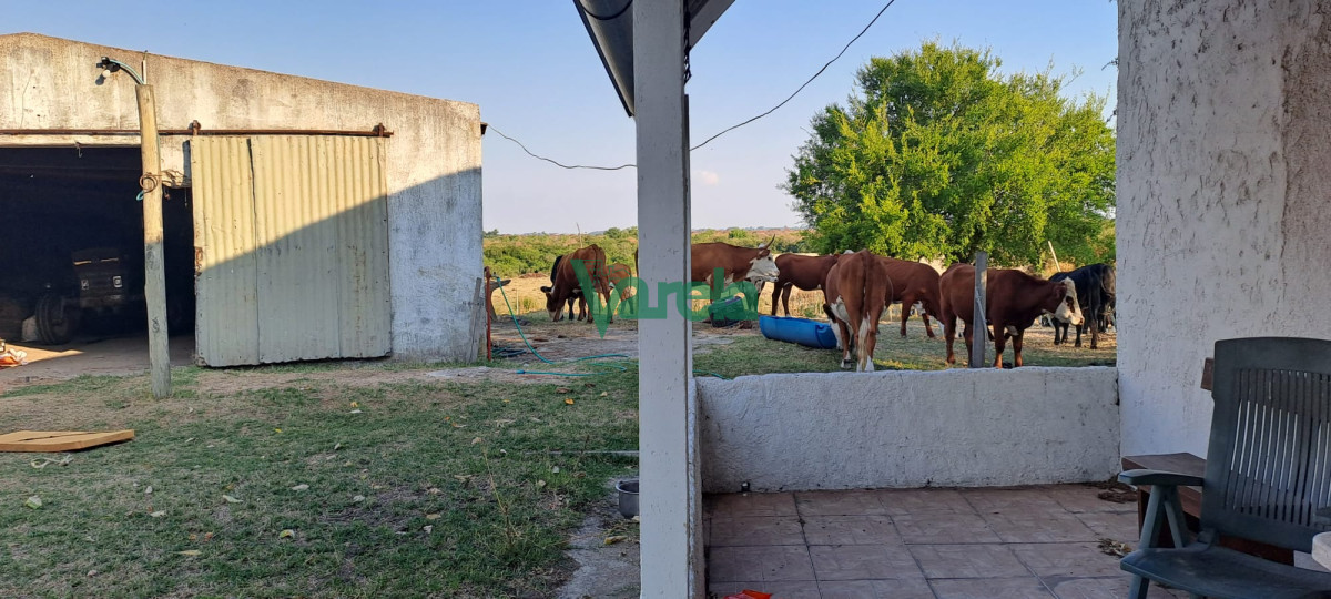 Campo Ref.21665 - Venta de Campo, Paso del Sordo, Florida, excelente campo de 37.5 has 