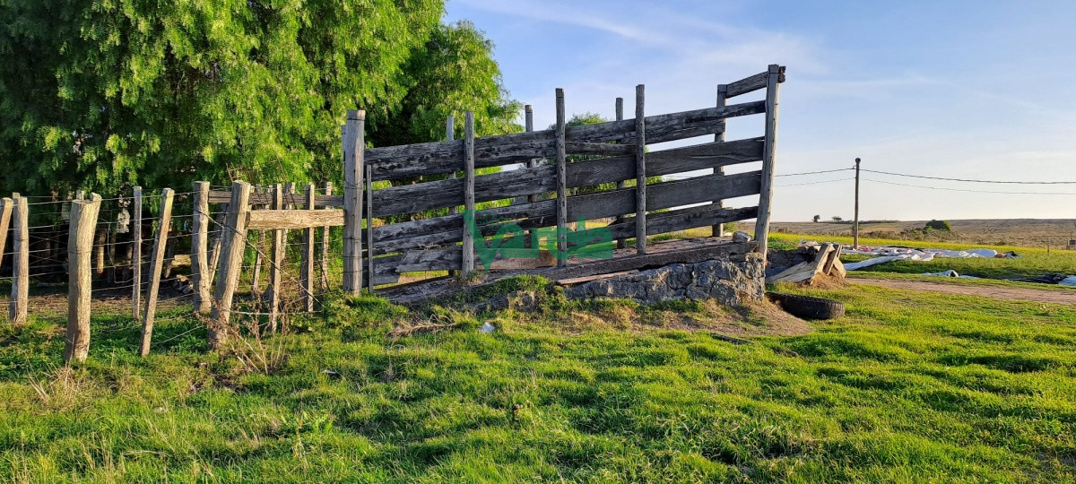 Campo Ref.21786 - Campo 108 has. próximo a San Jacinto