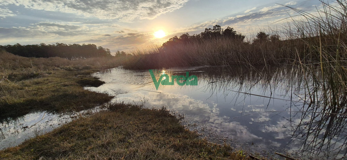 Campo Ref.22747 - Campo en venta , 36 has.a 7 km.de Solís de Mataojo 