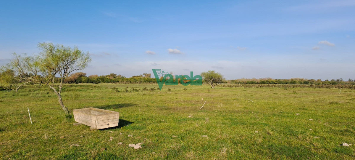 Campo Ref.21786 - Campo 108 has. próximo a San Jacinto
