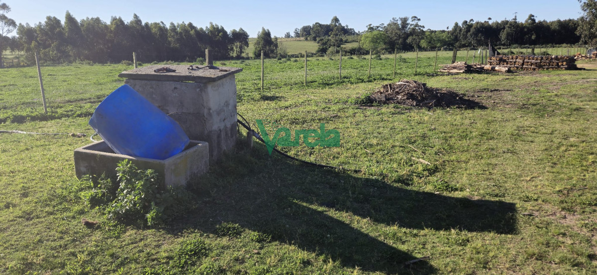 Campo Ref.22419 - Campo de 27 has.en zona Piedras de Afilar