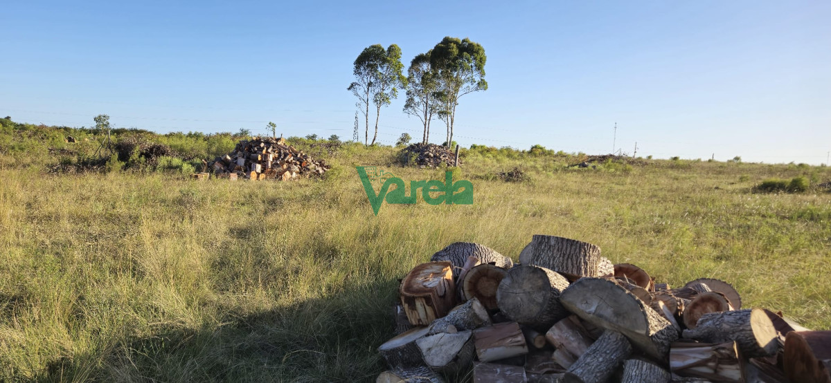 Campo Ref.22558 - Campo 31 has. Cañada Grande, próximo a Empalme Olmos y Ruta 8