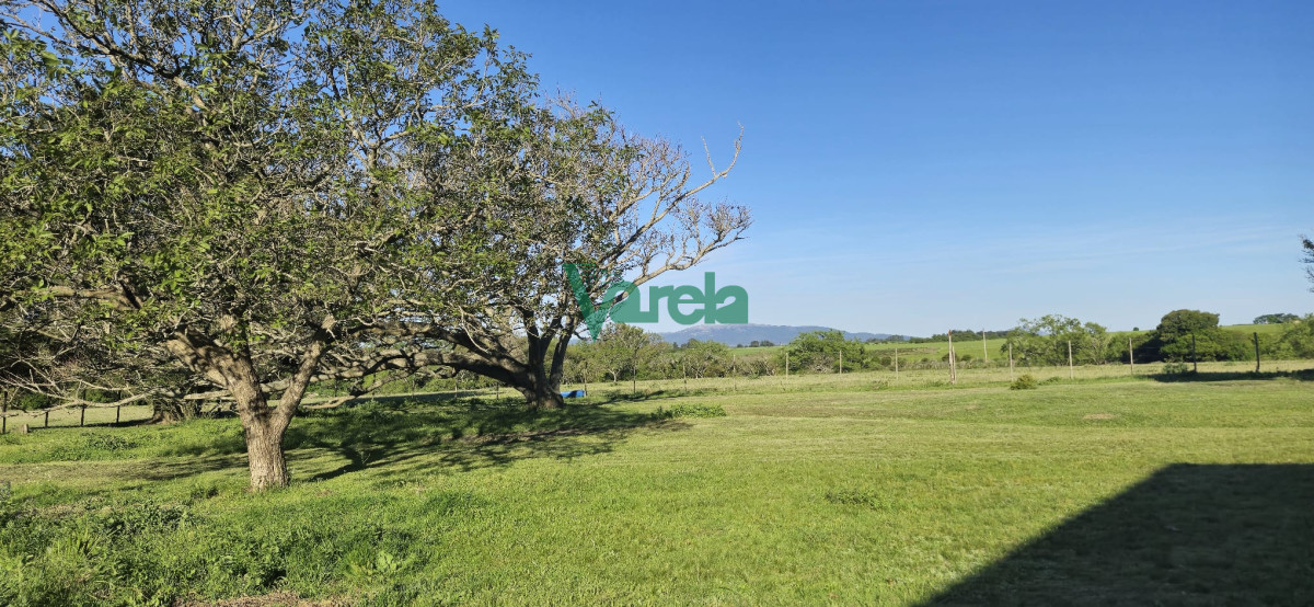Campo Ref.22419 - Campo de 27 has.en zona Piedras de Afilar