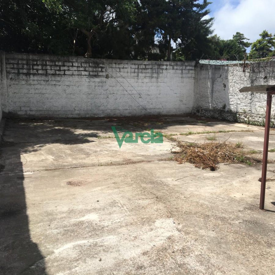 Local Comercial ID.20271 - VENTA PUNTA GORDA LOCAL COMERCIAL