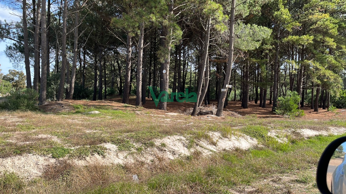 Terreno ID.21155 - Terrenos financiados a pura cuota próx Giannattasio - Suc Solymar 