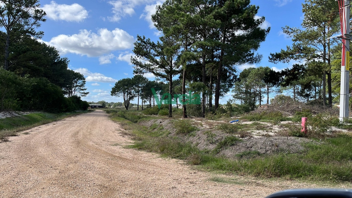 Terreno ID.21155 - Terrenos financiados a pura cuota próx Giannattasio - Suc Solymar 