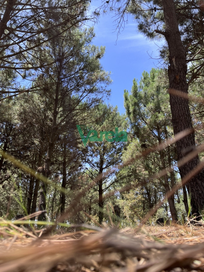 Terreno ID.22163 - Terreno en Venta Lomas 16 ha , 49 m sobre giannattasiio!!