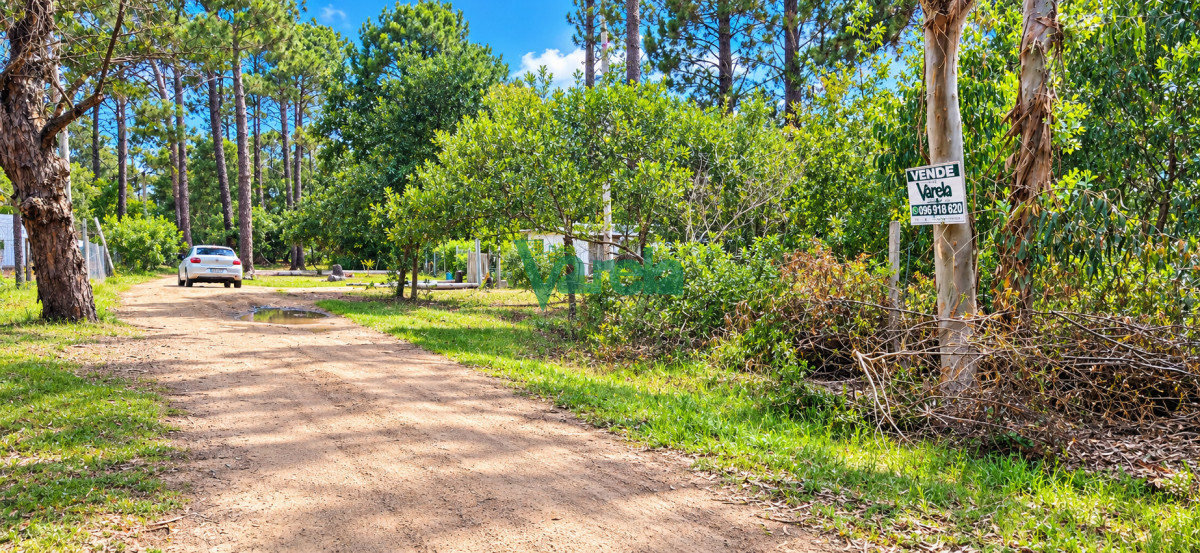 Terreno ID.23202 - Terreno en venta, 540 m2, a mts de la playa, Balneario Argentino
