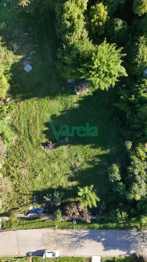 Terreno ID.23033 - Venta terreno ideal edificio casas Carrasco 
