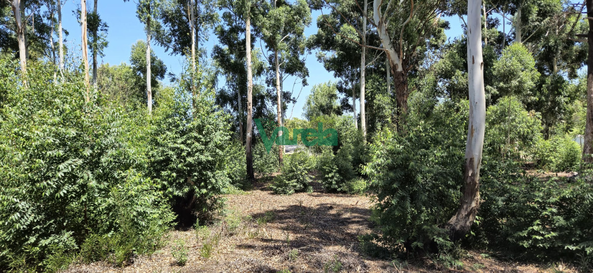 Terreno ID.22551 - Tres solares en venta (2.218 m2) a 800 metros de playa