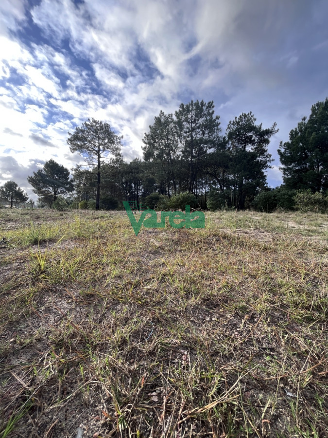 Terreno ID.22163 - Terreno en Venta Lomas 16 ha , 49 m sobre giannattasiio!!