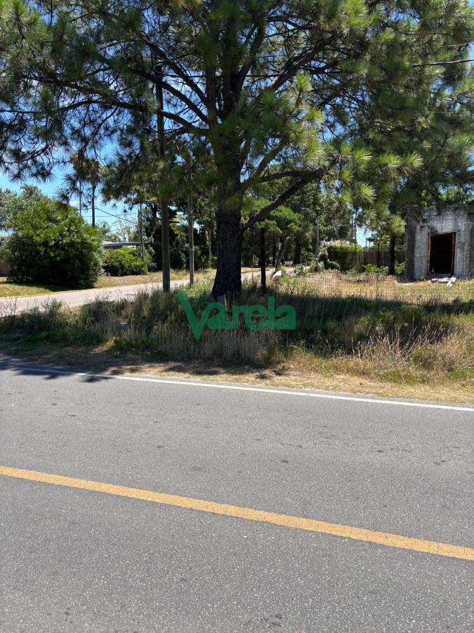 Terreno ID.22498 - Terreno al sur Lagomar