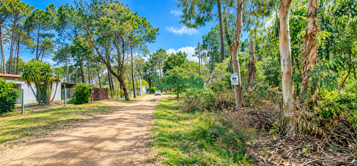 Terreno ID.23202 - Terreno en venta, 540 m2, a mts de la playa, Balneario Argentino
