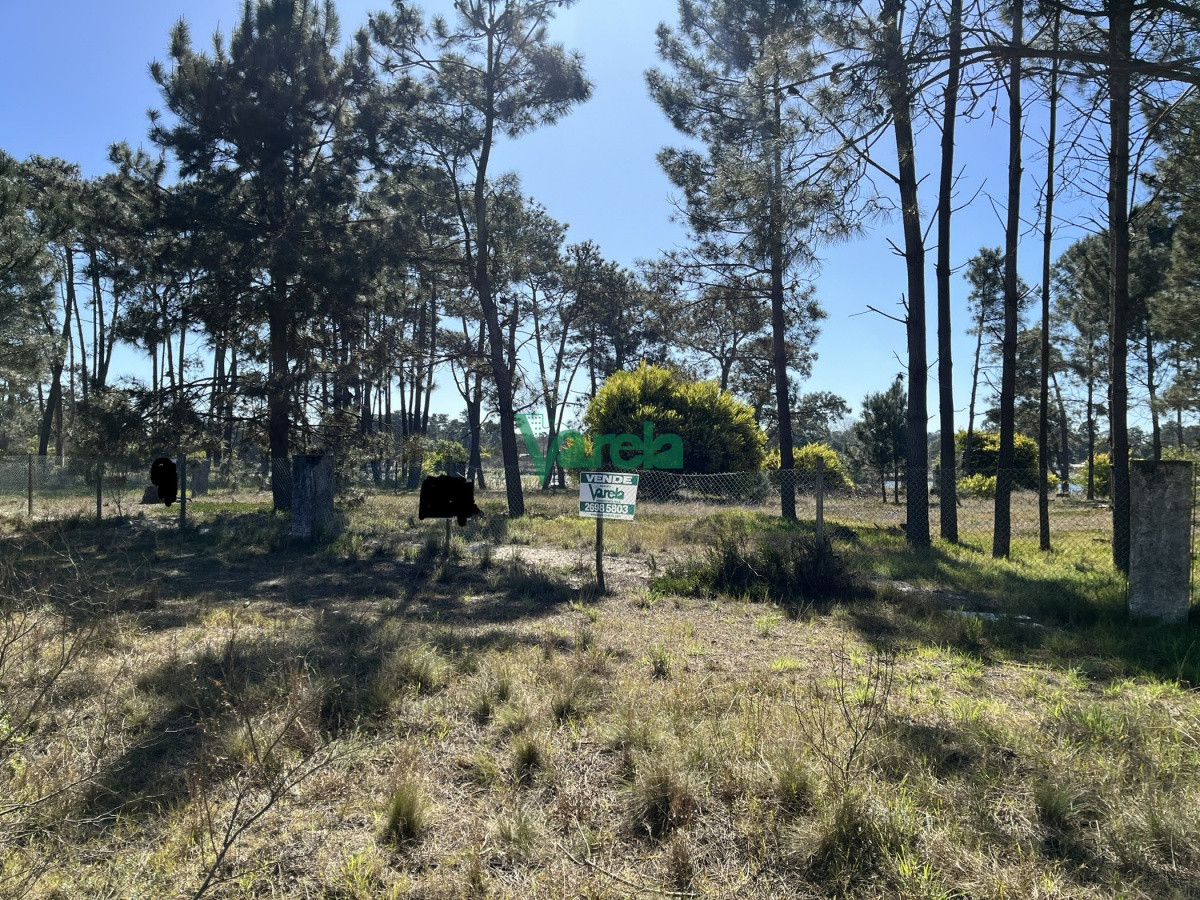 Terreno ID.21035 -  Terreno de 5608 m2 Pinar Sur , en venta .