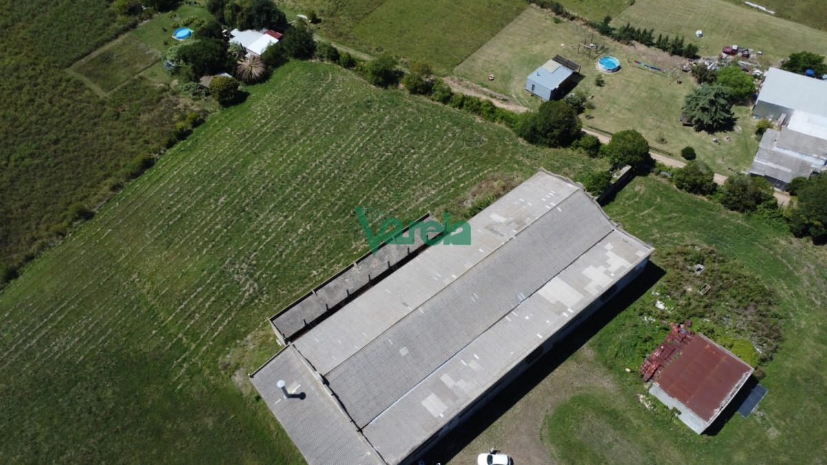 Terreno ID.22559 - Venta Gran Terreno Con Galpon Sobre Mendoza Ideal Inversion Montevideo