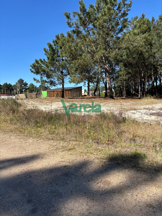 Terreno ID.22754 - Venta Terrenos El Pinar al sur de Interbalnearia 