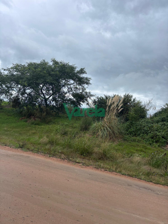 Terreno ID.23022 - Terrenos próximo a Ruta 101