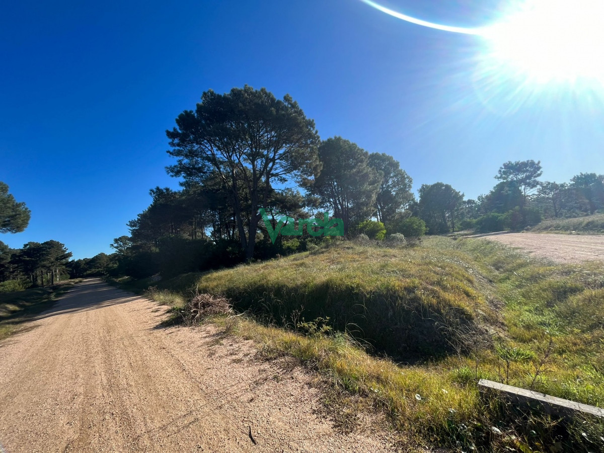 Terreno ID.21840 - Nuevo fraccionamiento terrenos en venta en Solymar 