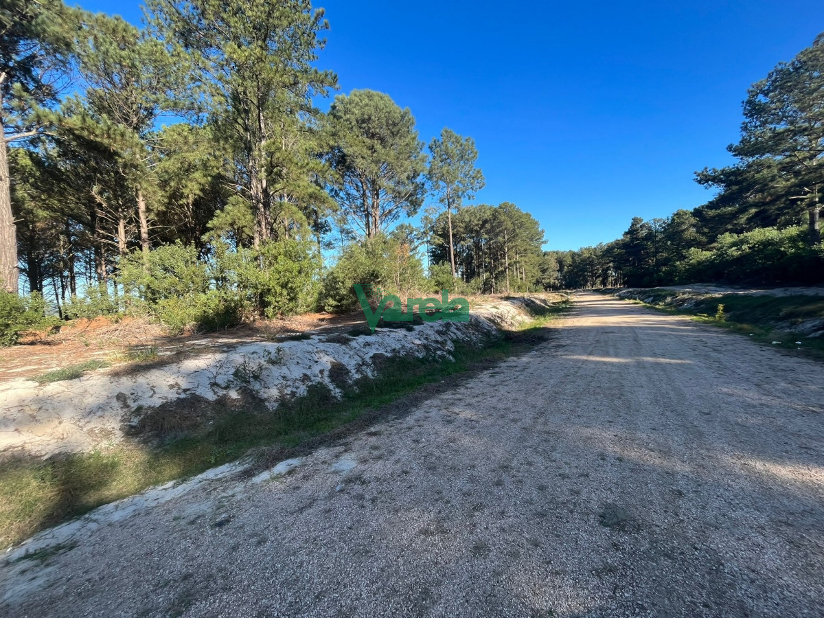 Terreno ID.21840 - Nuevo fraccionamiento terrenos en venta en Solymar 