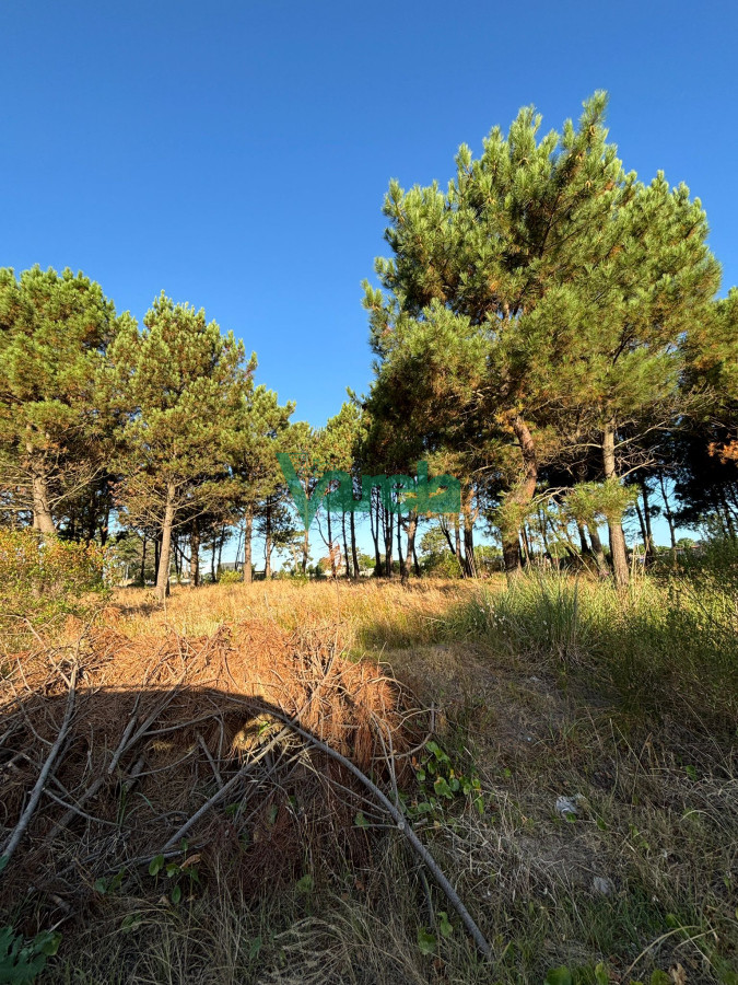 Terreno ID.22565 - Terrenos en venta financiados Últimos en  Montes de Solymar