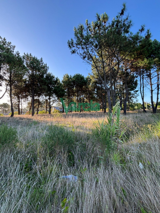 Terreno ID.22565 - Terrenos en venta financiados Últimos en  Montes de Solymar