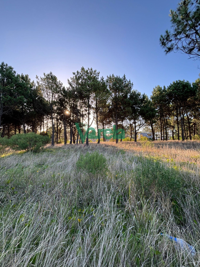Terreno ID.22565 - Terrenos en venta financiados Últimos en  Montes de Solymar