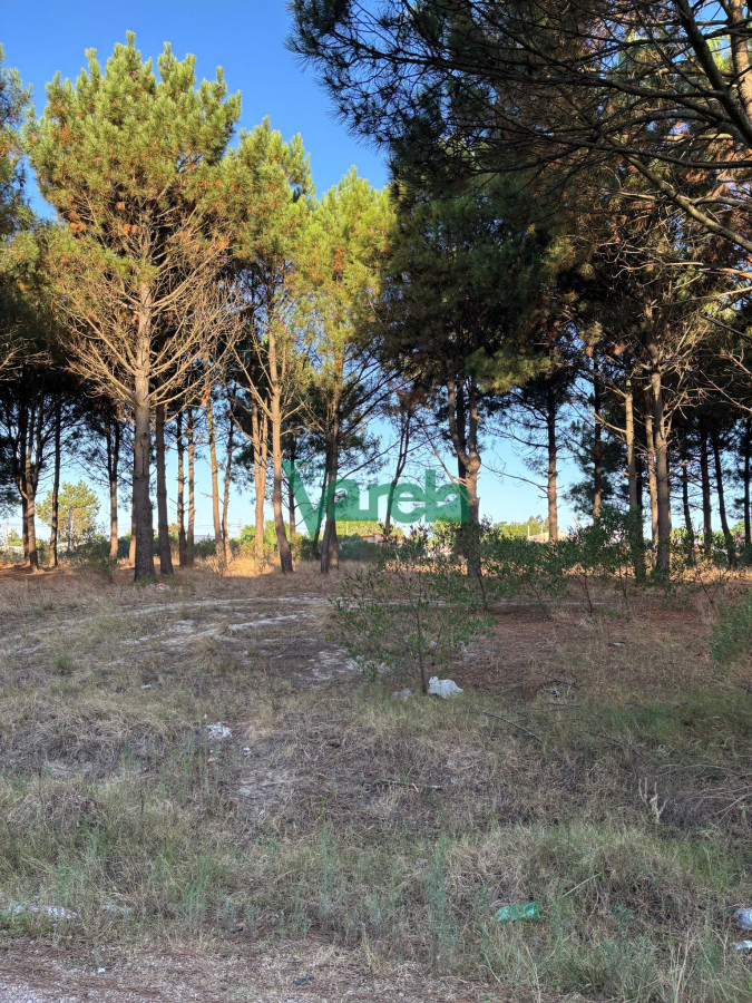 Terreno ID.22565 - Terrenos en venta financiados Últimos en  Montes de Solymar