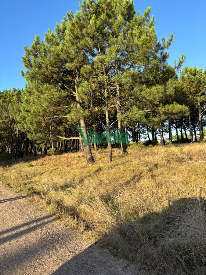 Terreno ID.22565 - Terrenos en venta financiados Últimos en  Montes de Solymar