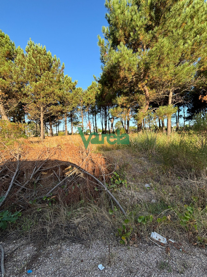 Terreno ID.22565 - Terrenos en venta financiados Últimos en  Montes de Solymar