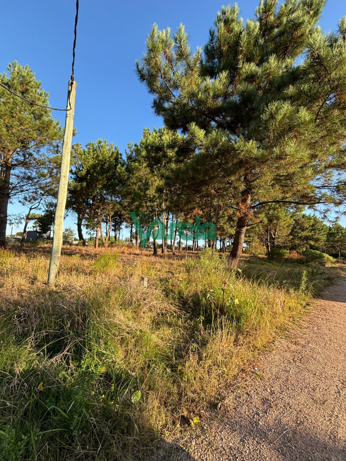 Terreno ID.22565 - Terrenos en venta financiados Últimos en  Montes de Solymar