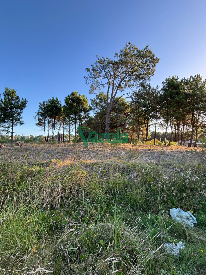 Terreno ID.22565 - Terrenos en venta financiados Últimos en  Montes de Solymar