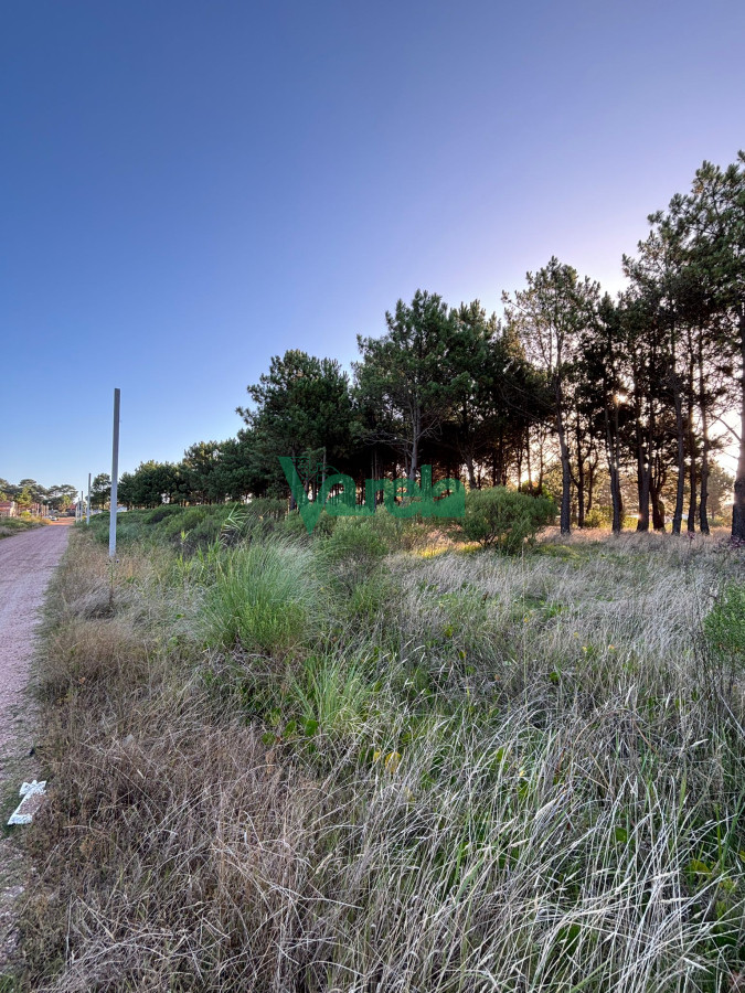 Terreno ID.22565 - Terrenos en venta financiados Últimos en  Montes de Solymar