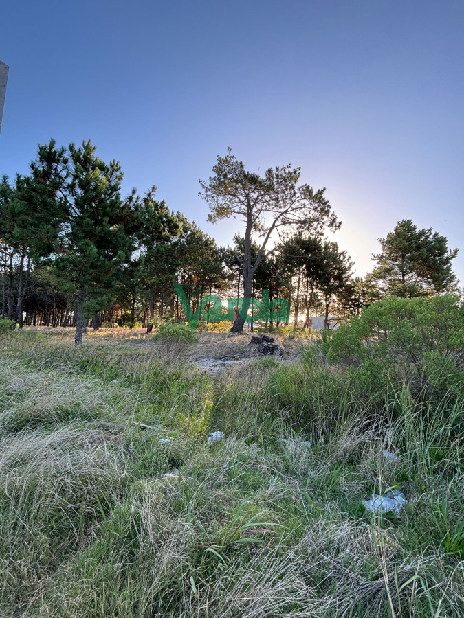 Terreno ID.22565 - Terrenos en venta financiados Últimos en  Montes de Solymar