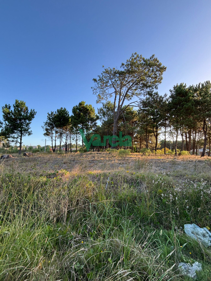 Terreno ID.22565 - Terrenos en venta financiados Últimos en  Montes de Solymar